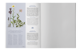 STUDIO JULIA SCHMIDT