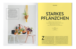 STUDIO JULIA SCHMIDT