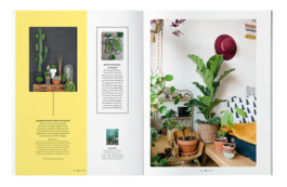 STUDIO JULIA SCHMIDT