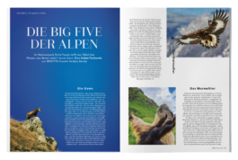 STUDIO JULIA SCHMIDT