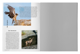 STUDIO JULIA SCHMIDT