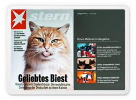 STUDIO JULIA SCHMIDT